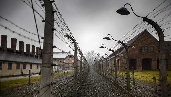 Тысячи человек в Польше принимают участие в Марше жизни в Освенциме