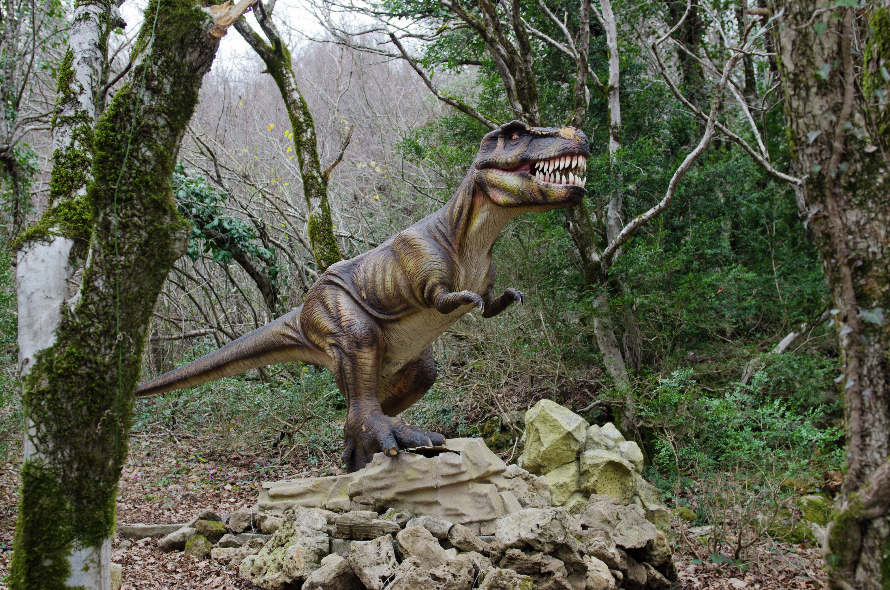 Что на самом деле убило динозавров?