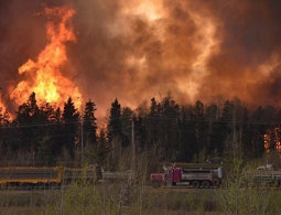Лесные пожары уничтожили 20% домов в канадском городе Форт Мак-Мюррей