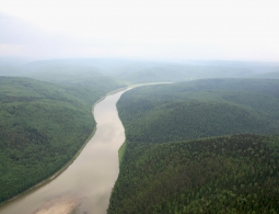 Путин предложил разочарованным британцам землю в России бесплатно