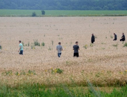 Рекультивация земель на месте падения МН17 пройдет в этом году