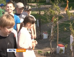 В Брянске появилась аллея в честь ветеранов Великой Отечественной войны