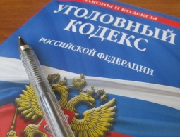 В Брянской области на иностранца-нелегала завели уголовное дело