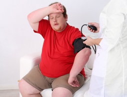 Обнаружен гормон-виновник ожирения и диабета