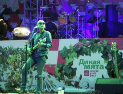 Полиция в США разыскивает пропавшую певицу Шинейд О'Коннор