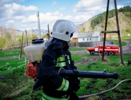 В Республике Алтай сгорела сельская школа
