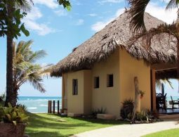 Президент Доминиканы лидирует на выборах в ходе подсчета 55,5% бюллетеней