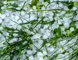 Синоптики назвали сроки окончания дождей, шторма и града