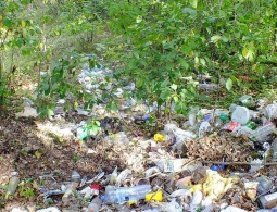 В Гордеевском районе насчитали 17 несанкционированных свалок