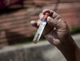 ВОЗ: вирус Зика может распространиться по Европе в ближайшие месяцы