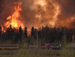 Лесной пожар уничтожил лагерь нефтяников в канадской провинции Альберта