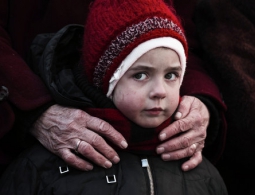 Украина в 2015 году предоставила статус беженца 167 иностранцам