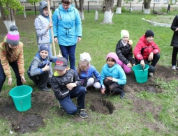 В Новосибирске появилась первая школьная "Аллея улыбок"