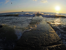 СМИ: самолет EgyptAir, летевший из Парижа в Каир, упал в море