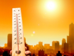 Ученые: Земля побила еще один температурный рекорд