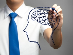 Ученые раскрыли секрет молодости мозга