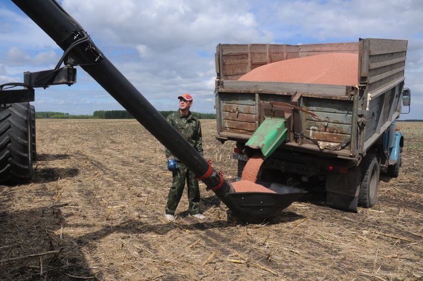 Сибирские аграрии будут поставлять пшеницу в Китай