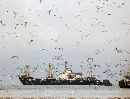 СМИ: малайзийские рыбаки, пропавшие у берегов Индонезии, найдены живыми