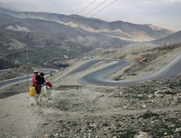 Жителей Эль-Фаллуджи просят быть готовыми покинуть город, захваченный ИГ