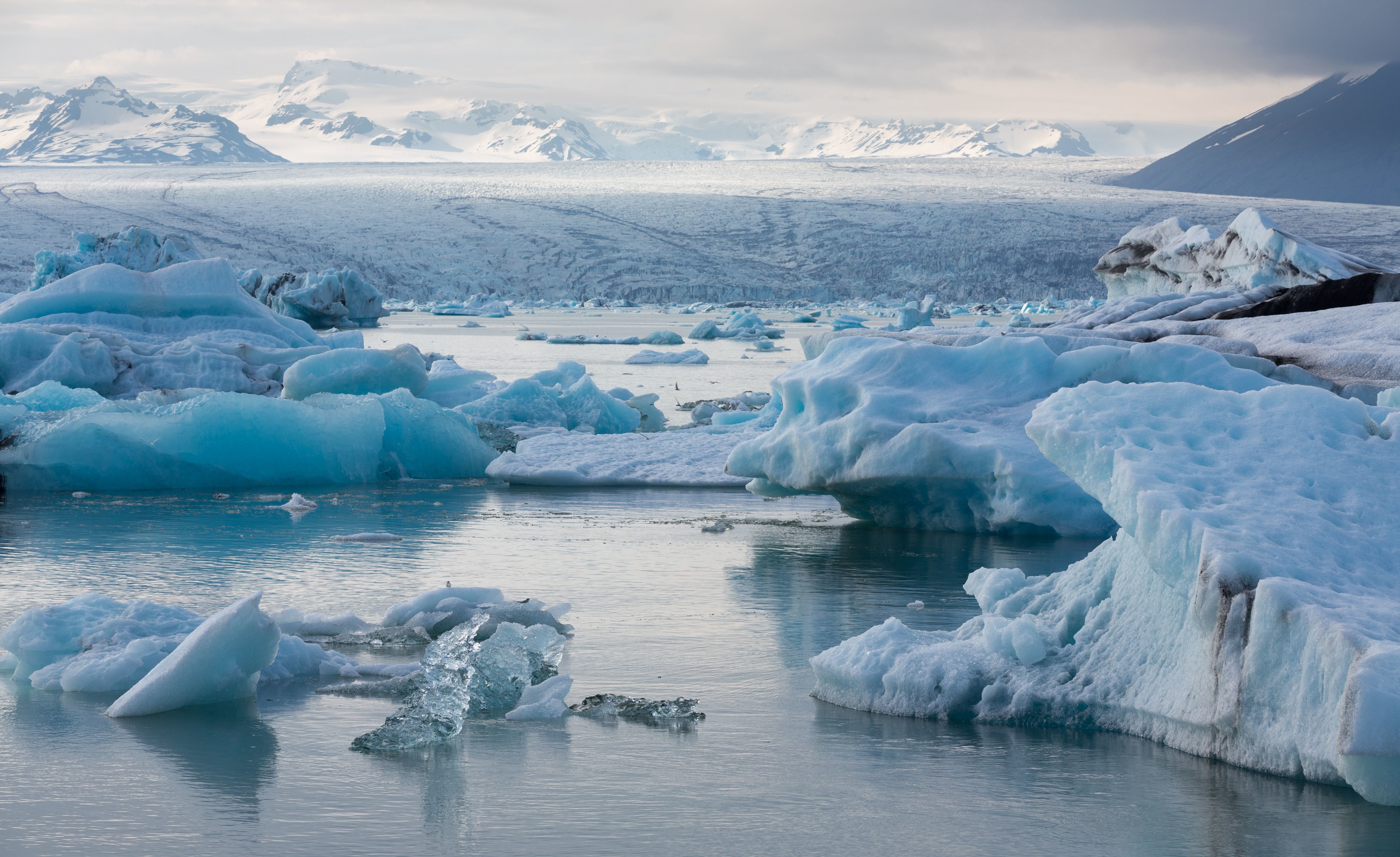 Ученый: Арктические льды дойдут до Мурманска через 5-10 лет