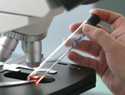 СМИ: в Пекине зарегистрирован второй "завозной" случай лихорадки Зика