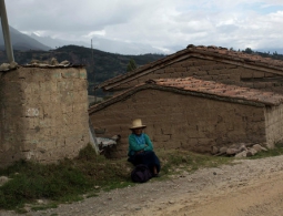 Перу объявило режим ЧП из-за загрязнения ртутью части территории