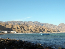 СМИ: в Каире суд освободил 47 противников передачи островов в Красном море