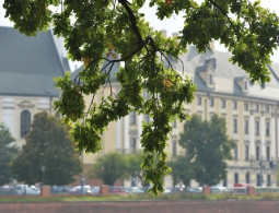 Подозреваемый в организации взрыва во Вроцлаве мог готовить другие теракты