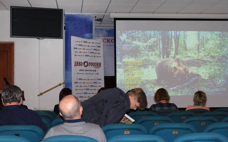 Фильм о брянских медведях отметили на всероссийском конкурсе «Диво России»