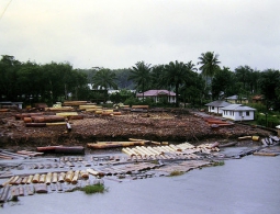 Компания Chevron приостановила работу в дельте Нигера из-за боевиков