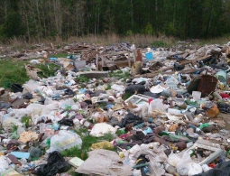 В четырех районах Брянщины выросли стихийные свалки на общей площади в 2,7 гектара