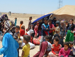 Военные эвакуировали из районов близ Эль-Фаллуджи более 2 тысяч человек