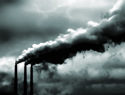 Загрязнение воздуха и мертворождаемость