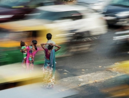 Минтранс Индии: почти треть водительских прав в стране поддельные