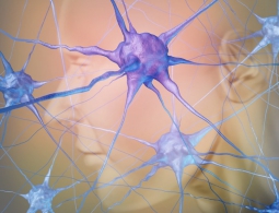 Создана машина для перевода мыслей в слова