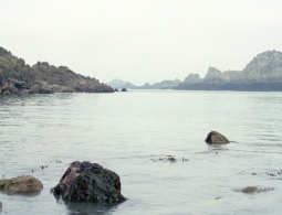 Британия разместит в Ла-Манше дополнительные катера для поиска мигрантов