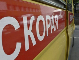 Брянская пенсионерка оступилась на остановке и попала под машину