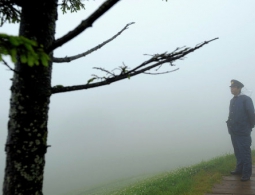 Силы самообороны Японии участвуют в поисках брошенного родителями мальчика