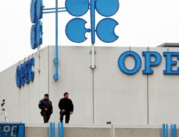 ОПЕК обсудит восстановление членства Габона в организации