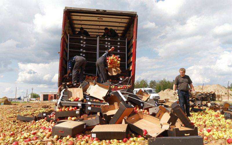 В Брянской области под бульдозер бросили более 20 тонн польских яблок