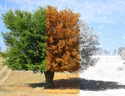 Зимой и летом мозг работает по-разному