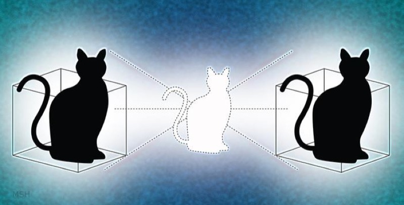 Новое состояние кота Шредингера позволяет находиться сразу в двух местах одновременно