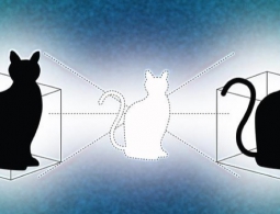 Новое состояние кота Шредингера позволяет находиться сразу в двух местах одновременно