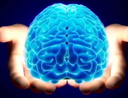 Вирусы помогут учёным бороться со злокачественными опухолями мозга