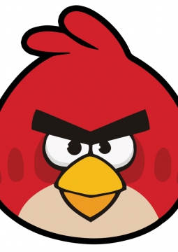 Angry birds атакуют