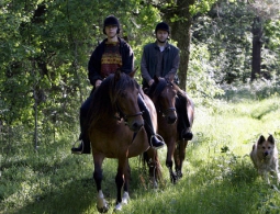 Эксперты ЮНЕСКО проверят ситуацию вокруг вырубки части Беловежской пущи