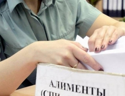 За пять дней с брянских алиментщиков взыскали более 1,5 миллиона рублей