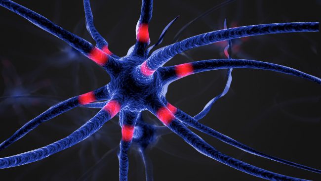 Учёные нашли новый способ борьбы с нейродегенеративными заболеваниями