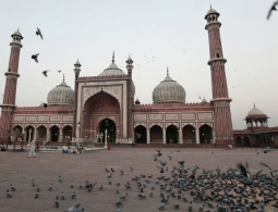 Около 14 человек погибли в операции по борьбе с захватом земель в Индии