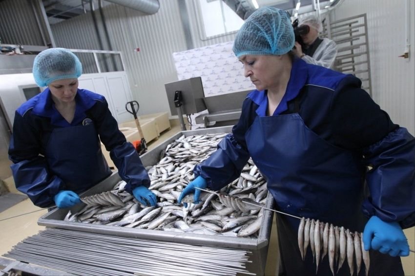 В России выросло число социально-трудовых конфликтов на предприятиях
